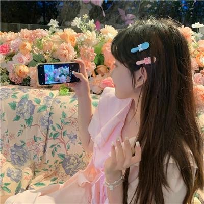 完美伴侣2025