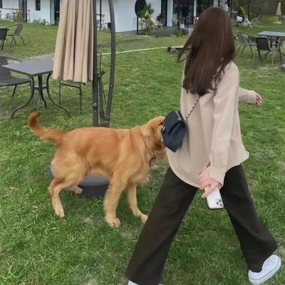 巴瑞第四季